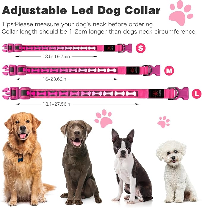 Flashseen LED Dog Collar Light Up USB-C Rechargeable(Pink, Medium)