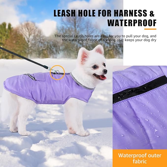 iBuddy Dog Winter Coat for Small Dogs, Easy on Dog Fleece Snow Jacket Velcro Waterproof Pet Puffer Clothes with Harness Hole Adjustable Reflective Quilted Pet Cold Weather Vest for Girl Female