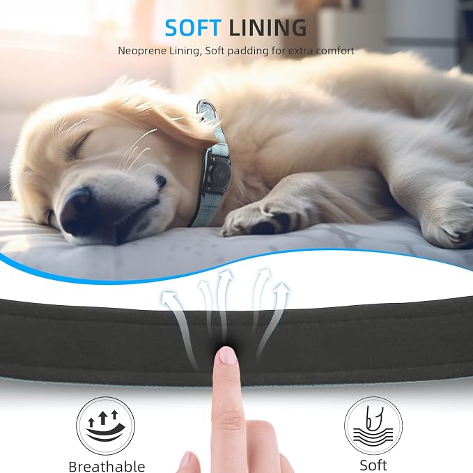 Upgrade Dog Collar with AirTag Holder, IP68 Waterproof, Light Blue, S | Built-in Water Resistant AirTag holder, 1000D Nylon, Reflective Stitching for Night Visibility, Soft padding for Comfort