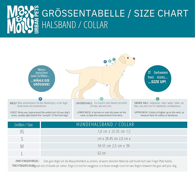 Max & Molly Smart ID Dog Collar with Gotcha! QR Safety Tag and Custom Pet Profile, Soft Padded Neoprene, Waterproof, Tropical, Medium (13-21")