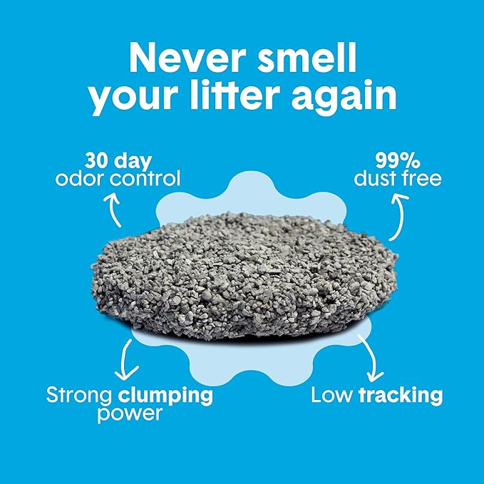 Boxie Unscented 30 Day Odor Control Clumping Clay Cat & Kitty Litter 40 lb, 99.9% Dust-Free, Hard Flat Top Clumps, No Fragrances No Fillers, Long-Lasting, Easy to Scoop