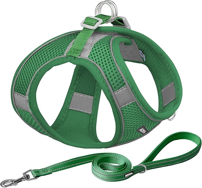AIITLE No Pull Dog Harness and Leash Set, Step in Adjustable Dog Harness with Padded Vest for All Weather, Dog Leash with Soft Padded Handle, Easy to Put on Small and Medium Dogs Green S
