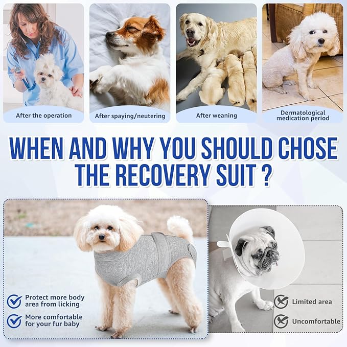 SlowTon Dog Surgery Recovery Suit - Zipper On Dog Onesies After Surgery for Female Male Dogs, Abdominal Wounds Bandages Cone/E-Collar Alternative Dogs Body Suit Anti-Licking (Grey,L)