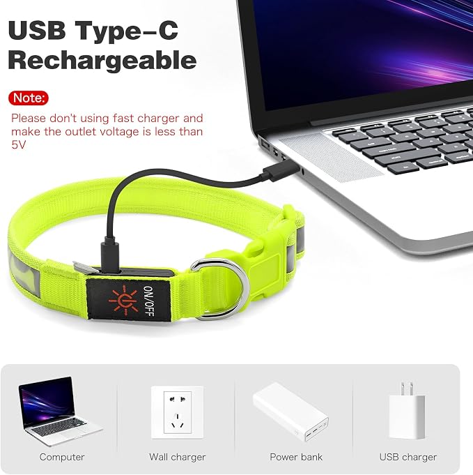 Flashseen LED Dog Collar Light Up USB-C Rechargeable (Green, Large)