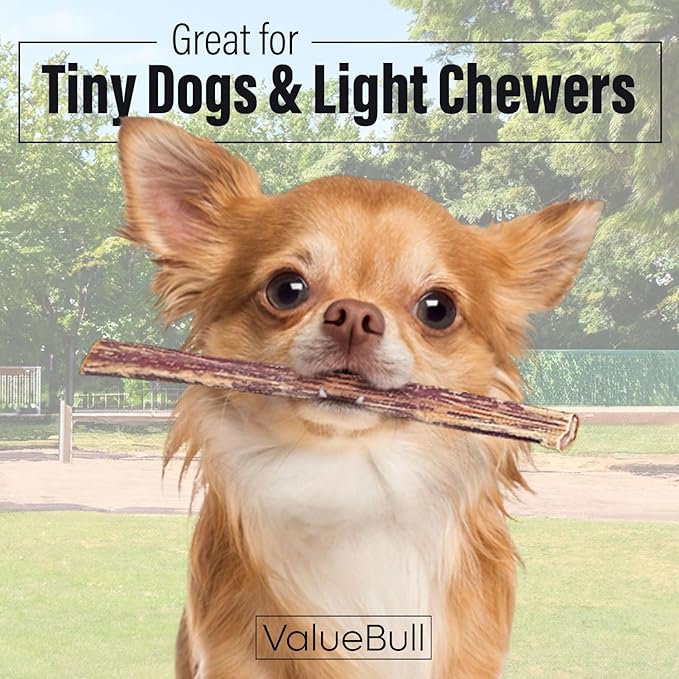 ValueBull Bully Sticks for Small Dogs, Extra Thin 6 Inch, 100 Count Bulk Pack - All Natural, Grass Fed, Single Ingredient, Long Lasting Dog Treats