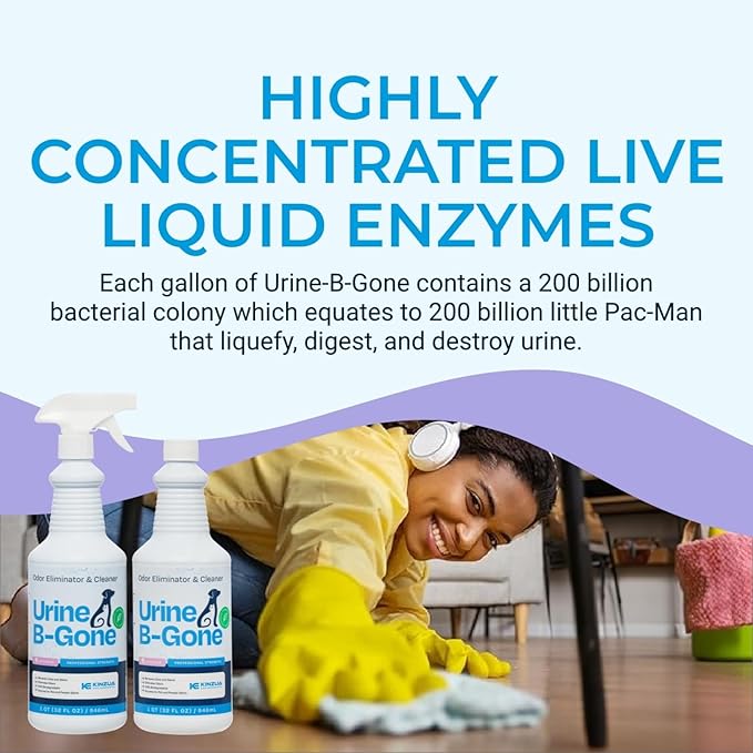 KINZUA ENVIRONMENTAL Urine B-Gone, Professional Enzyme Odor Eliminator & Pet Stain Remover, Human, Cat & Dog Urine Cleaner, Effective on Laundry, Carpets & More, Lavender Scent, 32oz, Pack of Two