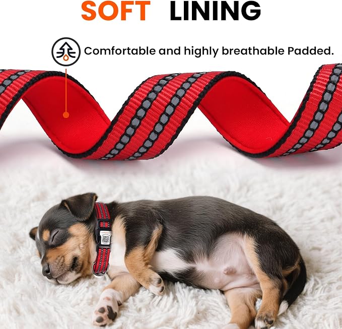 Personalized Dog Collar with QR Code Dog Tag, Red S | Anti-lost, 1000D nylon, reflective, padded, XS-L(8"-24"), QR buckle shares lost pet profile, location alerts when scanned