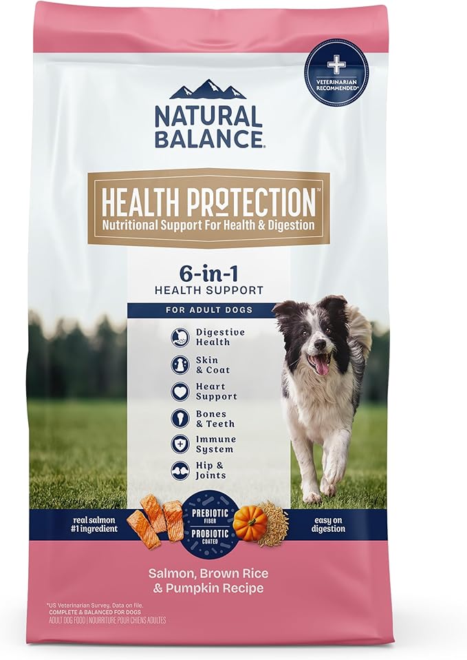 Natural Balance Health Protection Dry Dog Food – Whole Body Health, Easy on Digestion Dog Food Made with Salmon, Brown Rice & Pumpkin for Dogs - 22lbs.