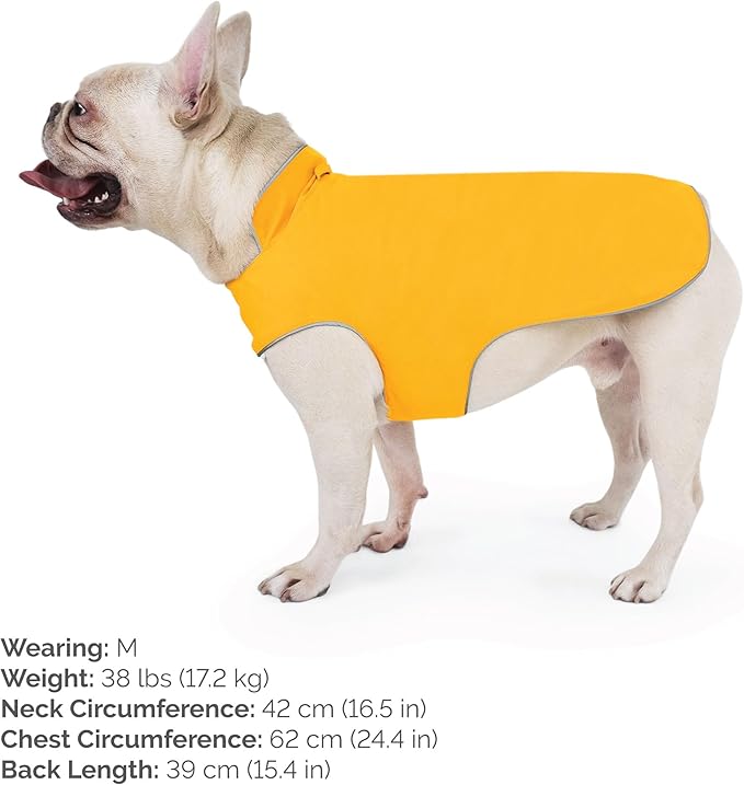 JAN & JUL Dog Rain Jacket (Yellow, Size: M)