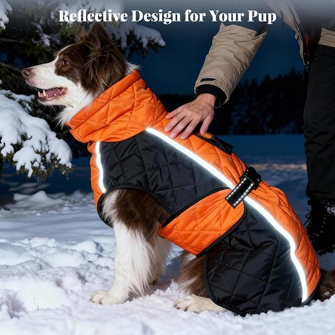 Dog Coat Dogs Jacket Waterproof Reflective Adjustable Dog-Winter Coats for Small/Medium/Large Dogs Dachshund Coat-(Orange, XXX-Large)