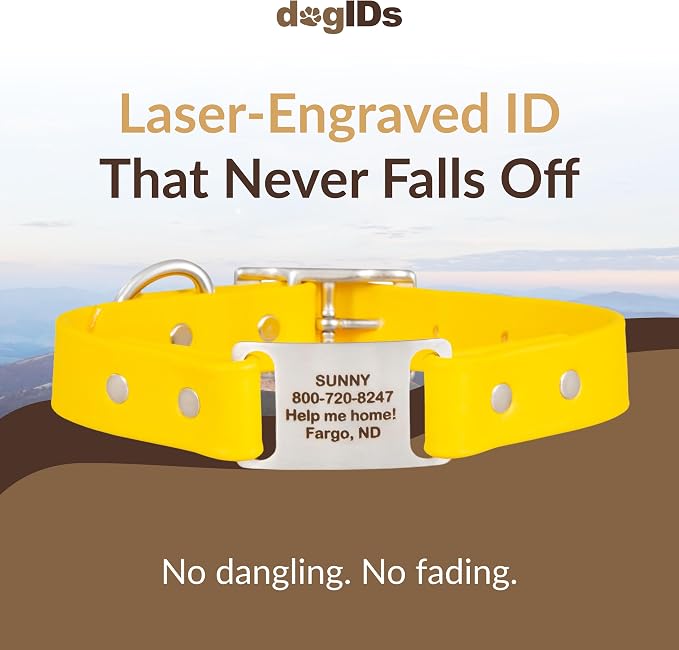 dogIDs Personalized Dog Collar – ScruffTag Custom Waterproof Biothane Dog Collar with Laser-Engraved Name, Durable & Odor-Resistant – USA Made | Yellow, 3/4 in x 14 in (Fits Neck Sizes 12-16 in)