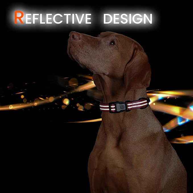 Personalized Dog Collar with QR Code Dog Tag, Rose Red S | Anti-lost, 1000D nylon, reflective, padded, XS-L(8"-24"), QR buckle shares lost pet profile, location alerts when scanned