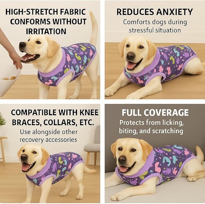 PetWarm Post Neuter Surgery Suit for Dogs Male, Dog Coat's Inner Clothes, Substitute E-Collar and Cone, Dog Onesies Pet Surgery Recovery Suit for Dogs, Dinosaur Pattern, Purple, XL