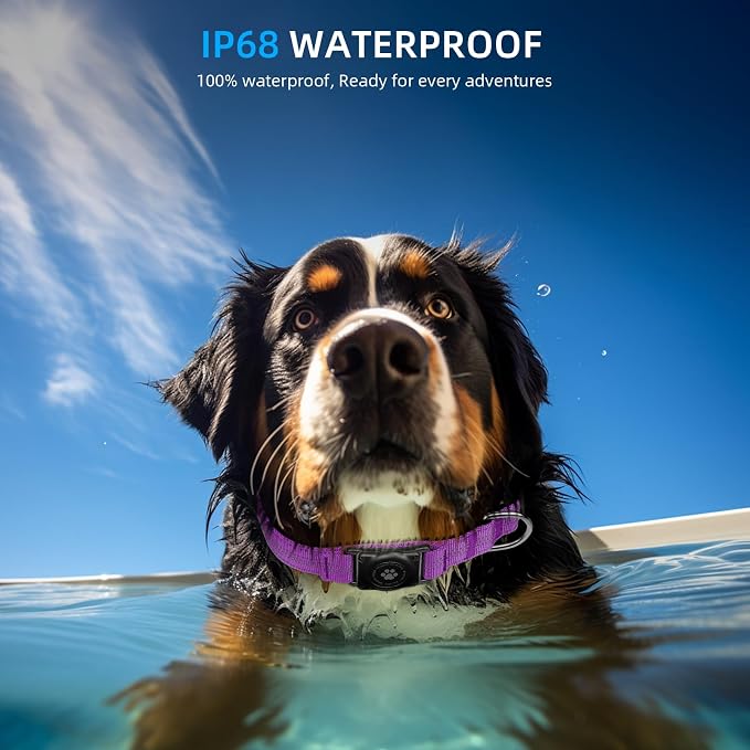 Upgrade Dog Collar with AirTag Holder, IP68 Waterproof, Purple, XL | Built-in Water Resistant AirTag holder, 1000D Nylon, Reflective Stitching for Night Visibility, Soft padding for Comfort
