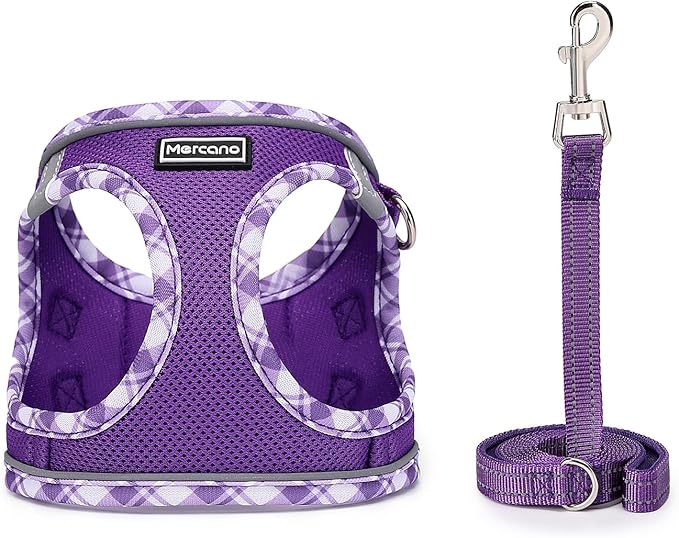 Mercano Soft Mesh Dog Harness and Leash Set, No-Chock Step-in Reflective Breathable Lightweight Easy Walk Vest Harnesses with Safety Buckle for Small Dogs, Cats (XL, Purple)