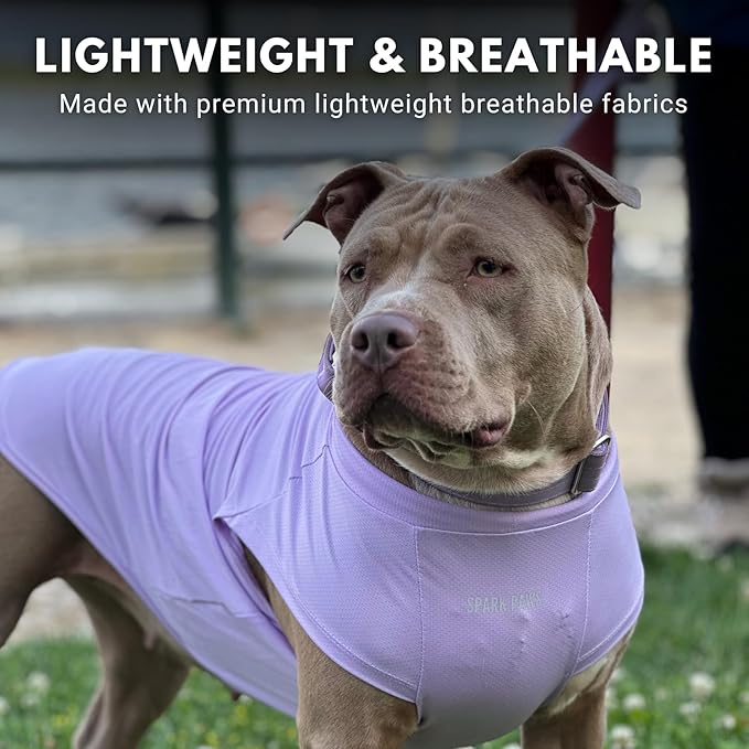 Spark Paws Sunblock Dog T-Shirt, SPF30 Protection, Lightweight Breathable Quick Dry for Dogs with Sensitive Skin - Purple & Pink (Set of 2) - 2XL