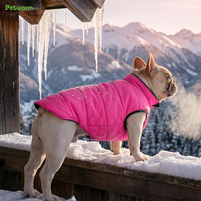 PetWarm Reversible Dog Winter Coat, Windproof Dog Puffer Vest, Soft Vest for Dogs with Hook-and-Loop Strap for Easy Dressing, Waterproof Coat for Dogs with Adjustable Fit, Pink, S