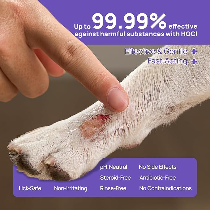 HICC PET Dog Wound Care Hydro Gel, Heals Wounds, Hot Spot Treatment for Dogs, Soothes Inflammation, Prevents Infection, Treats Bites, Scratches & Skin Ulcers, Cat Wound Care Solution, 3.4 Ounces