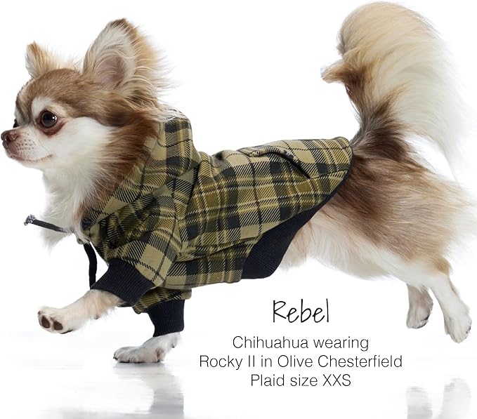 Rocky II - The Extra Comfy Hoodie, Organic Cotton and Recycled Poly Dog Hoodie Pet Coat Sweater for Small, Medium, Large Dogs, Olive Chesterfield Plaid, X-Small