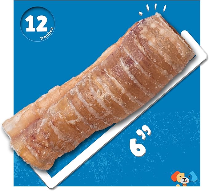 Jack&Pup 6 Inch Trachea Dog Chew | Single Ingredient Beef Trachea Treats for Dogs | Naturally Rich in Glucosamine and Chondroitin for Joint Health (12 Pk)