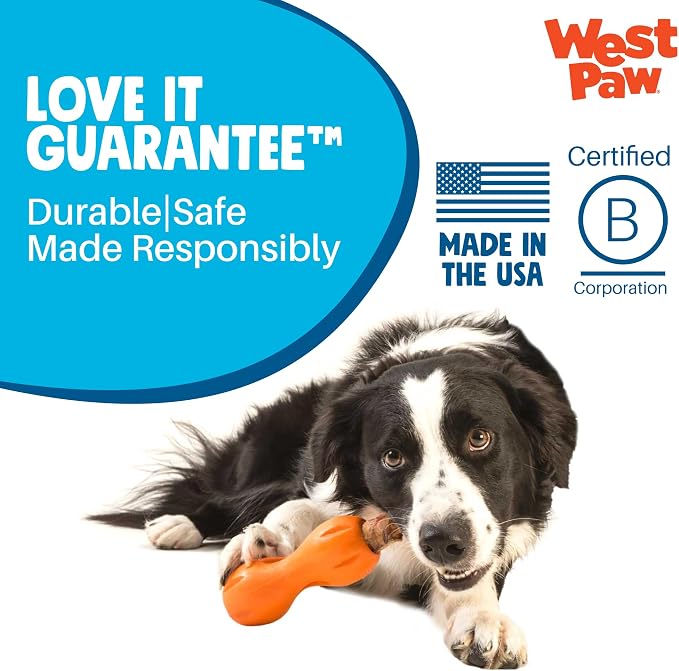 West Paw Qwizl Durable Zogoflex Dog Puzzle Toy for Mental Stimulation, and Enrichment - Treat Dispensing for Bully Sticks and Dental Sticks - Dishwasher Safe - Made in USA - Small - Aqua