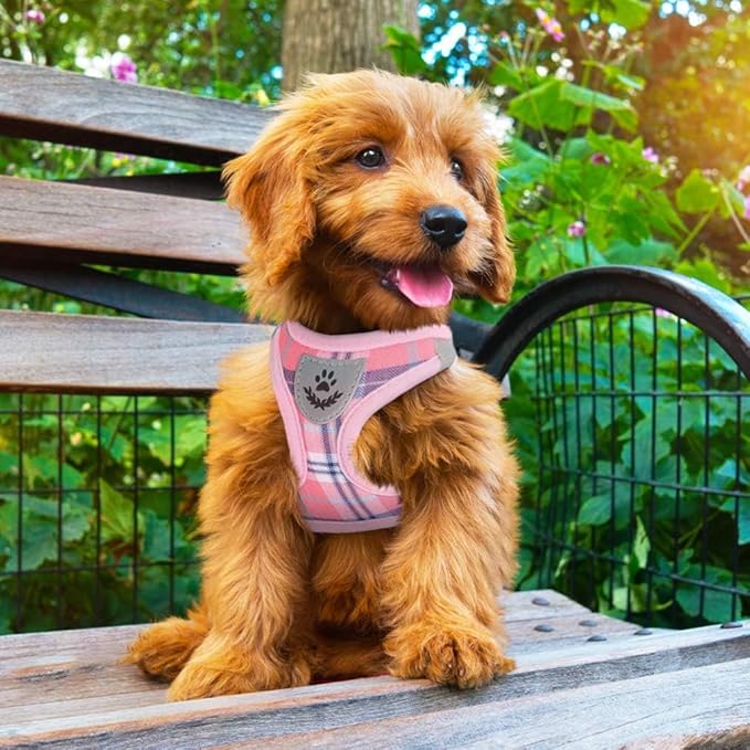 PUPTECK Adjustable Dog Harness Collar and Leash Set Step in No Pull Pet Harness for Small Medium Dogs Puppy and Cats Outdoor Walking Running, Soft Mesh Padded Reflective Vest Harnesses, Pink S