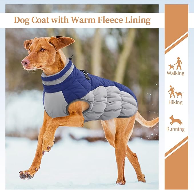 Dog Jackets for Large Dogs, Large Dog Winter Coat, Pet Cold Weather Coats, XXXL Pet Jacket with D-Ring, Waterproof Coat with Back Zipper, Snowsuit Labrador German Shepherd Doberman,Blue,XXXL