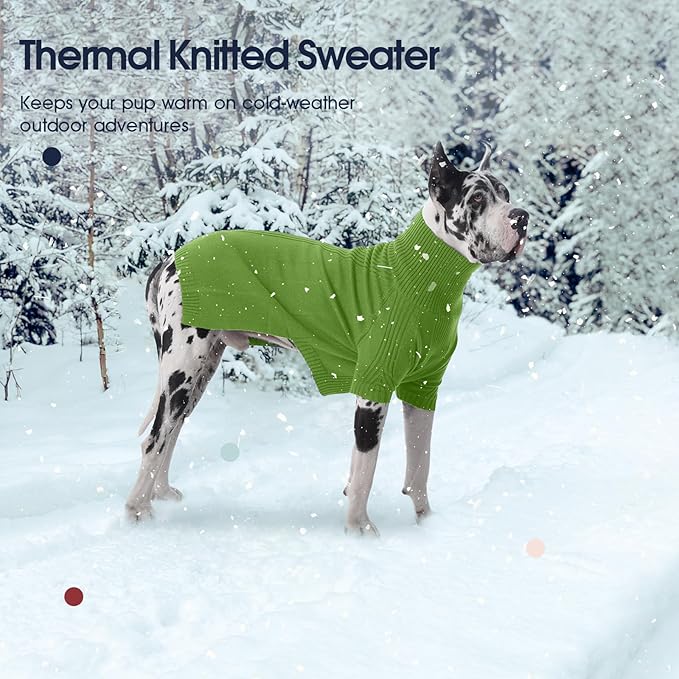 IECOii Dachshund Sweater,Turtleneck Dog Sweater for Small Medium Dogs Girl,Stretchy & Breathable,Warm Knitted Pullover Coat,High Neck Knitwear for Cold Weather Indoor & Outdoor Wear (Grass Green, M)