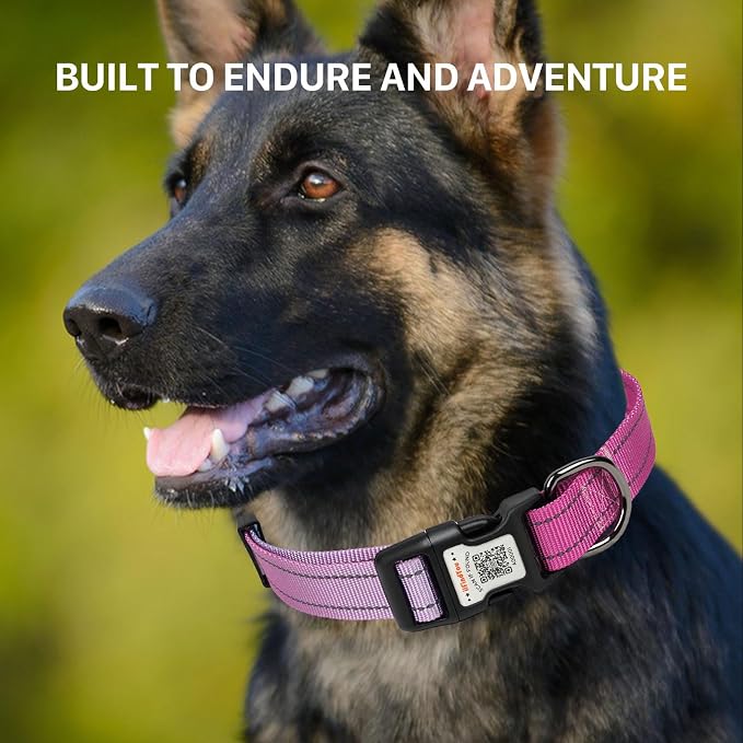 Personalized Dog Collar with QR Code Dog Tag, Blue&Rose Red L | Anti-lost, 1000D nylon, reflective, padded, XS-L(8"-24"), QR buckle shares lost pet profile, location alerts when scanned