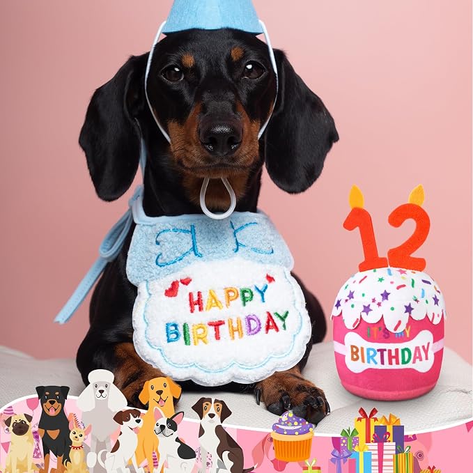 Dansydaisy Dog Birthday Cake Toy Squeaky Plush Gift,12th,Pink