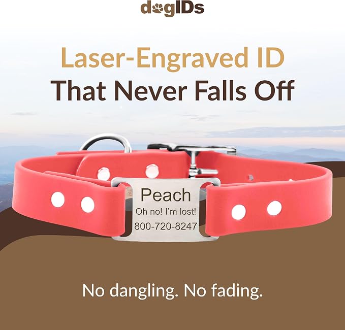 dogIDs Personalized Dog Collar – ScruffTag Custom Waterproof Biothane Dog Collar with Laser-Engraved Name, Durable & Odor-Resistant – USA Made | Coral, 1 in x 22 in (Fits Neck Sizes 20-24 in)