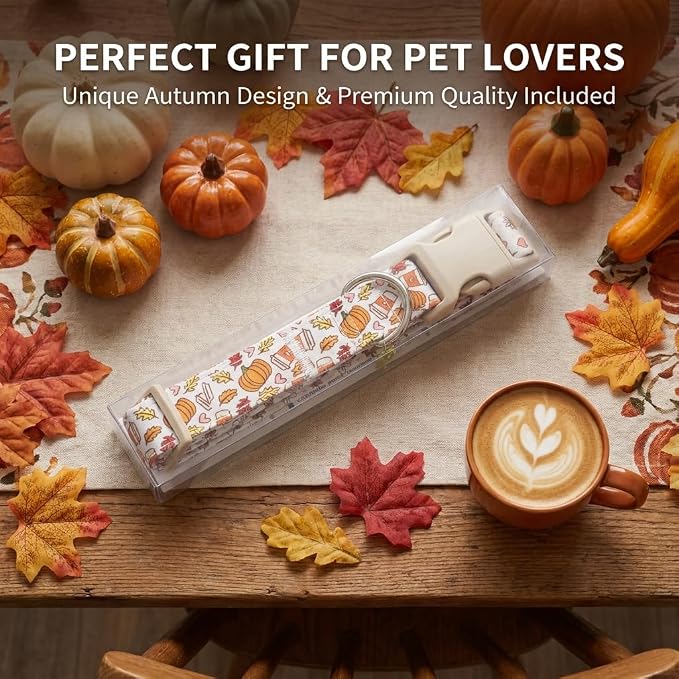 Fall Dog Collar, Puppy Collar for Extra Small Girls Boys Dogs, XS
