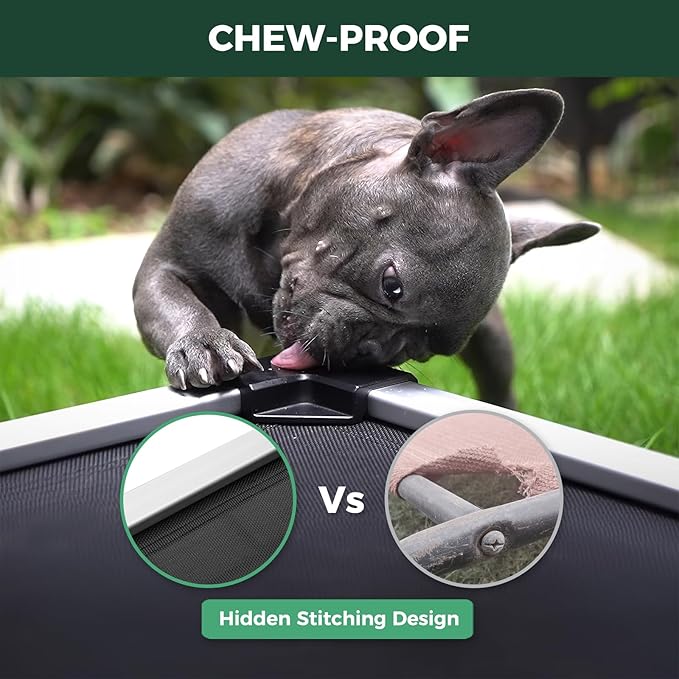 FXW TitanNest Chew-Proof Elevated Dog Bed, Raised Cot for Indoor/Outdoor/Camping Use, Durable & Waterproof Cooling Pet Bed for Extra-Small Dogs, 30.0" L x 22.0" W x 4.5" H, Black