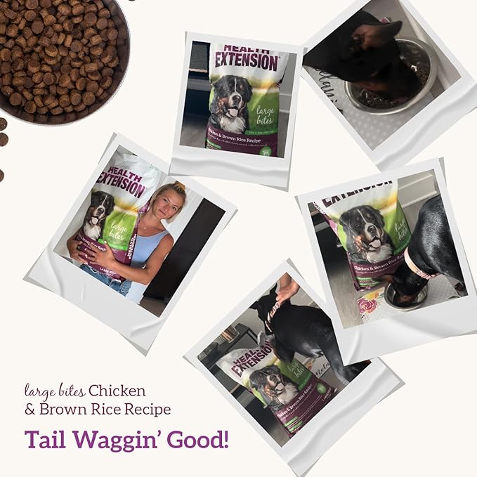 Health Extension Large Bites Chicken & Brown Rice Dry Dog Food, Protein-Rich Formula with Probiotics & Essential Nutrients for Large Breeds (30lb)