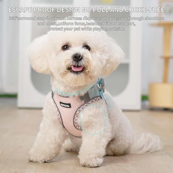 AIITLE Tiny Dog Harness - Lightweight Mesh Step-in Vest for Puppy, Reflective & Escape-Proof Design with High-Stick Magic Tape - Indoor/Outdoor Use for Chihuahua, Maltese, Shih Tzu(Blue-Pink, XXXS)