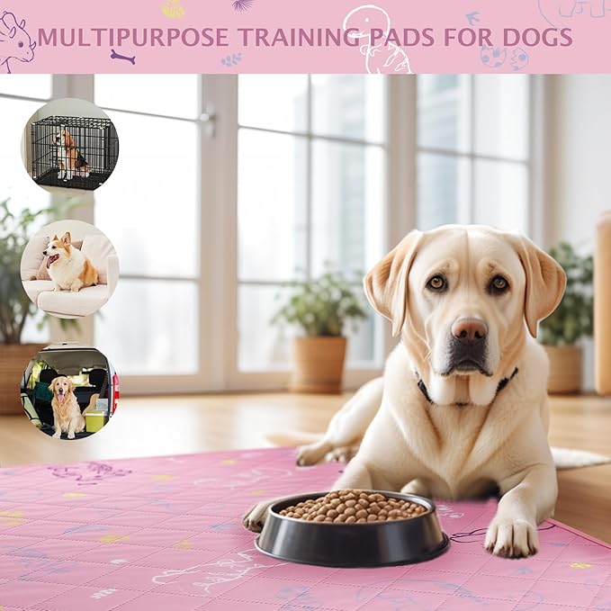 IEUUMLER Washable Pee Pads for Dogs, 2 Pack Non-Slip & Waterproof Pack Whelping Pad, Reusable Washable Puppy Potty Training Pad with Fast Absorbent for Playpen EU007 (Pink Dinosaur, 42"X28"-2pcs)