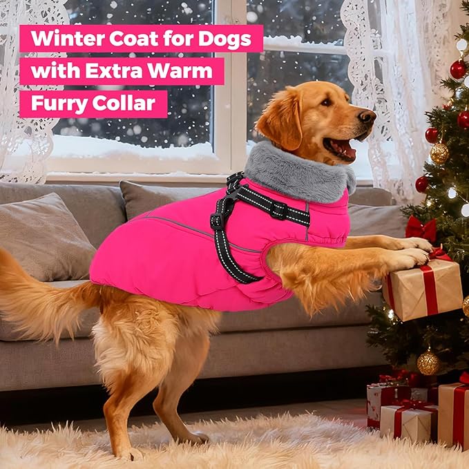 Queenmore Dog Jackets for Large Dogs, Dog Coat with Harness Built in,Waterproof Dogs Coats with Zipper On Back,Warm Fleece Lining Cold Weather Pet Coats with Furry Collar for Labrador,Rosered,L