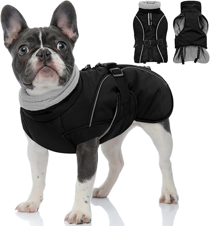 Queenmore Winter Dog Coat Warm Dog Jacket Vest Waterproof Puffer Fleece Snowsuit Adjustable Buckle Leash Hole Reflective Cold Weather Parka for Small Medium Large Dogs Girl Boy Black S