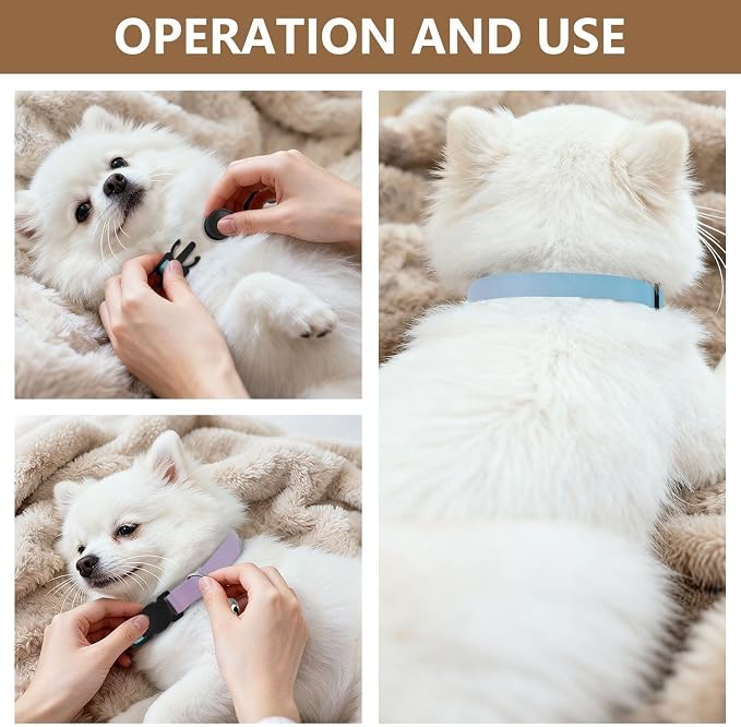 Teal Gradient Blue Pink Cat Collar 2 Pack Lightweight Small Dog Collar Adjustable Length 10.6" to 17.1"