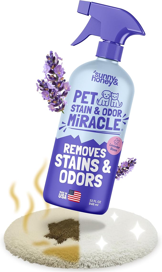 Sunny & Honey Pet Stain & Odor Miracle - 32 Fl Oz, Light Lavender Scent - Carpet Stain Remover & Urine Odor Eliminator - Upholstery Cleaner Spray - Enzyme Formula for Upholstery, Couch & Mattress