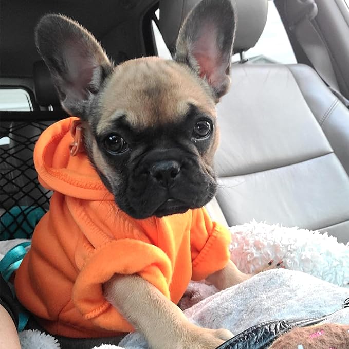 Jecikelon Winter Dog Hoodie Sweatshirts with Pockets Warm Dog Clothes for Small Dogs Chihuahua Coat Clothing Puppy Cat Custume (Orange, Medium)