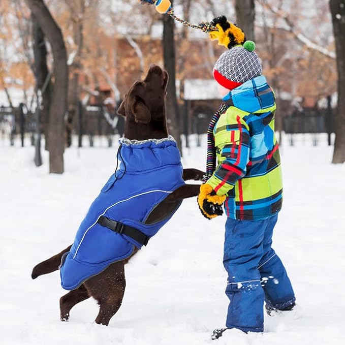 DENTRUN Winter Warm Dog Coat Reflective Jacket with Turtleneck for Cold Weather, Adjustable Buckle Windproof Water Repellent, Thick Snowsuit Fleece Vest for Small, Medium, Large Dogs, Blue, XL