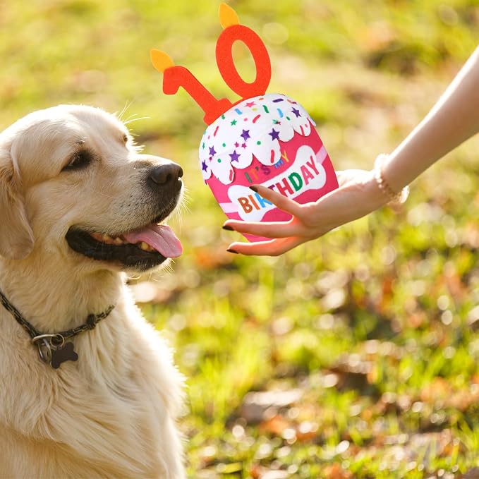 Dansydaisy Dog Birthday Cake Toy Squeaky Plush Gift,10th,Pink