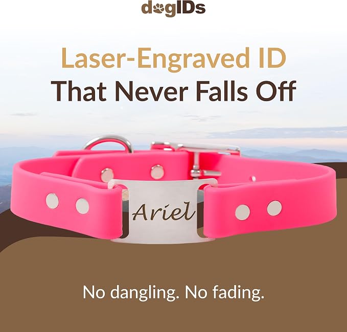 dogIDs Personalized Dog Collar – ScruffTag Custom Waterproof Biothane Dog Collar with Laser-Engraved Name, Durable & Odor-Resistant – USA Made | Pink, 3/4 in x 16 in (Fits Neck Sizes 14-18 in)