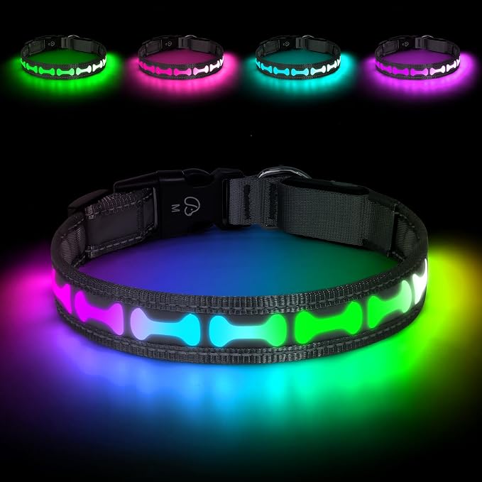 Flashseen LED Dog Collar Light up USB Rechargeable, 7-Color Glow, Grey, S