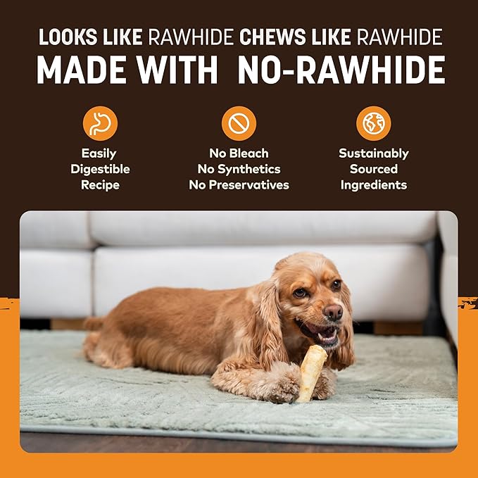Earth Animal No Hide Chews - Long Lasting Rawhide Free Small Dog Chews Rolls, Chicken - 2 Count