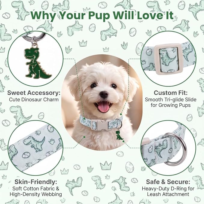 Dinosaur Dog Collar, Medium Dog Collar for Boy Girl Dog, M