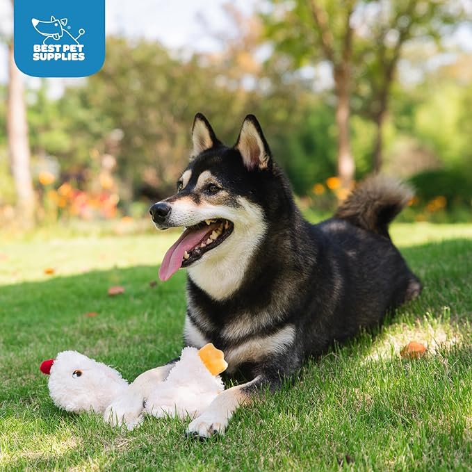 Best Pet Supplies Interactive Squeaky Dog Chew Toy, Ideal Dog Toys for Chewers, Small, Medium & Large Dogs, and Fetch Lovers - Crinkle Chicken (Cream), Large