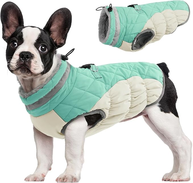 FUAMEY Dog Coat for Medium Dogs,Waterproof Dog Winter Jacket with Harness Built in Puppy Cold Weather Coats Reflective Pet Vest with Zipper Warm Fleece Dogs Snowsuit Windproof Mint Green M
