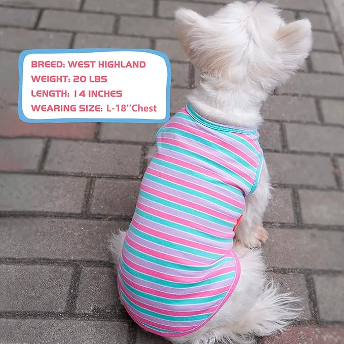 KYEESE 2Pack Dog Shirt, Soft Striped Dogs T Shirts, Lightweight Pet Tank Top, Sleeveless Dog Shirt for Medium Dogs, Stretchy Comfortable Pet Vest, Purple+Blue Striped, 2XL